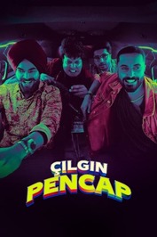 Çılgın Pencap